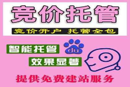 行业案例：SEM推广代运营如何助力企业腾飞